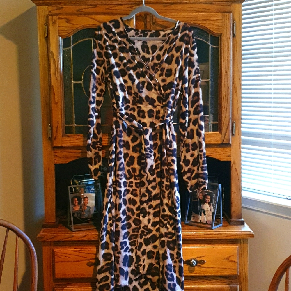 Beautiful Silky Fabric Leopard Print Dress.